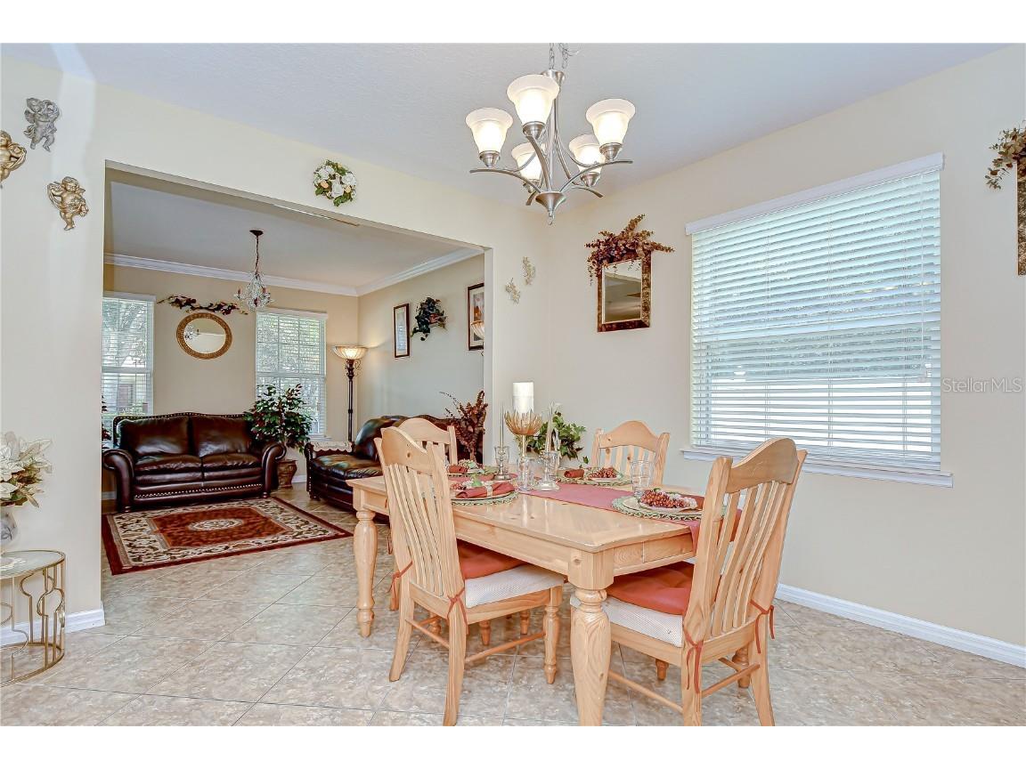 2499 Calvano Drive Land O Lakes FL 34639 TB8408915 image13