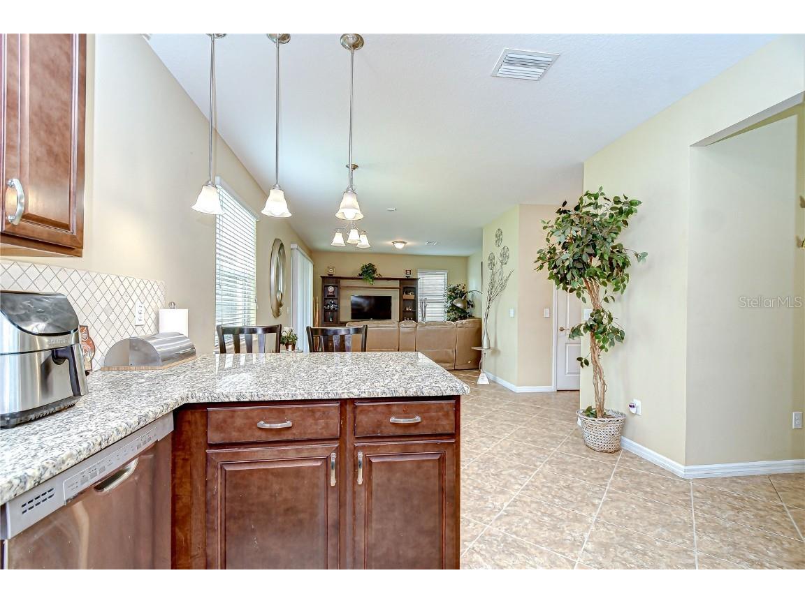 2499 Calvano Drive Land O Lakes FL 34639 TB8408915 image17