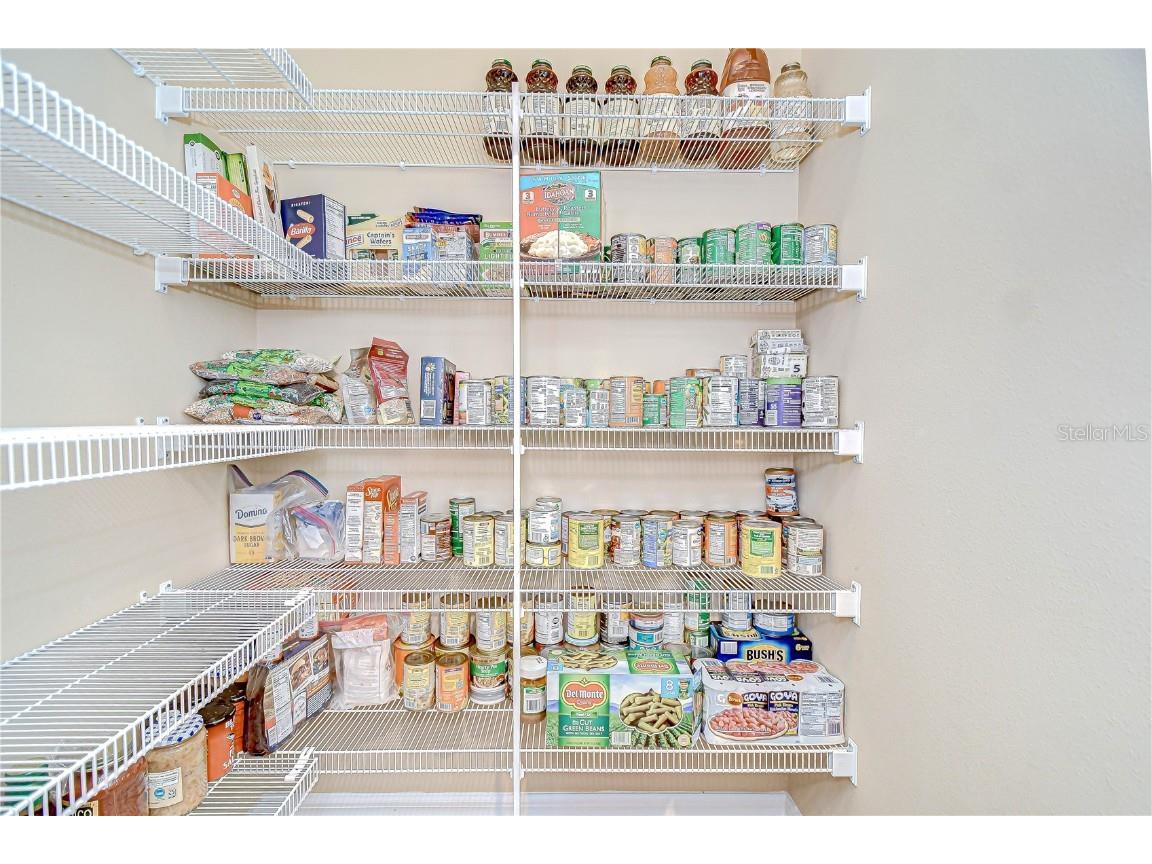 2499 Calvano Drive Land O Lakes FL 34639 TB8408915 image18