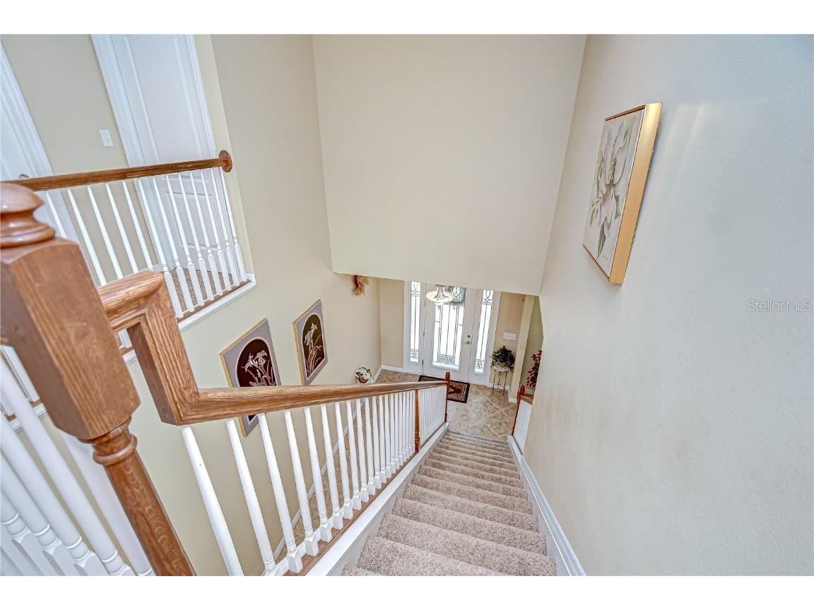 2499 Calvano Drive Land O Lakes FL 34639 TB8408915 image25