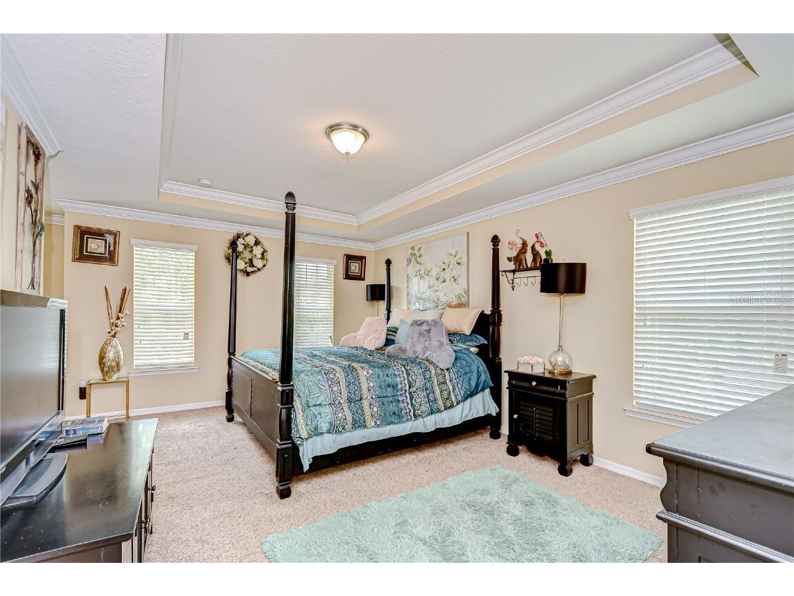 2499 Calvano Drive Land O Lakes FL 34639 TB8408915 image26