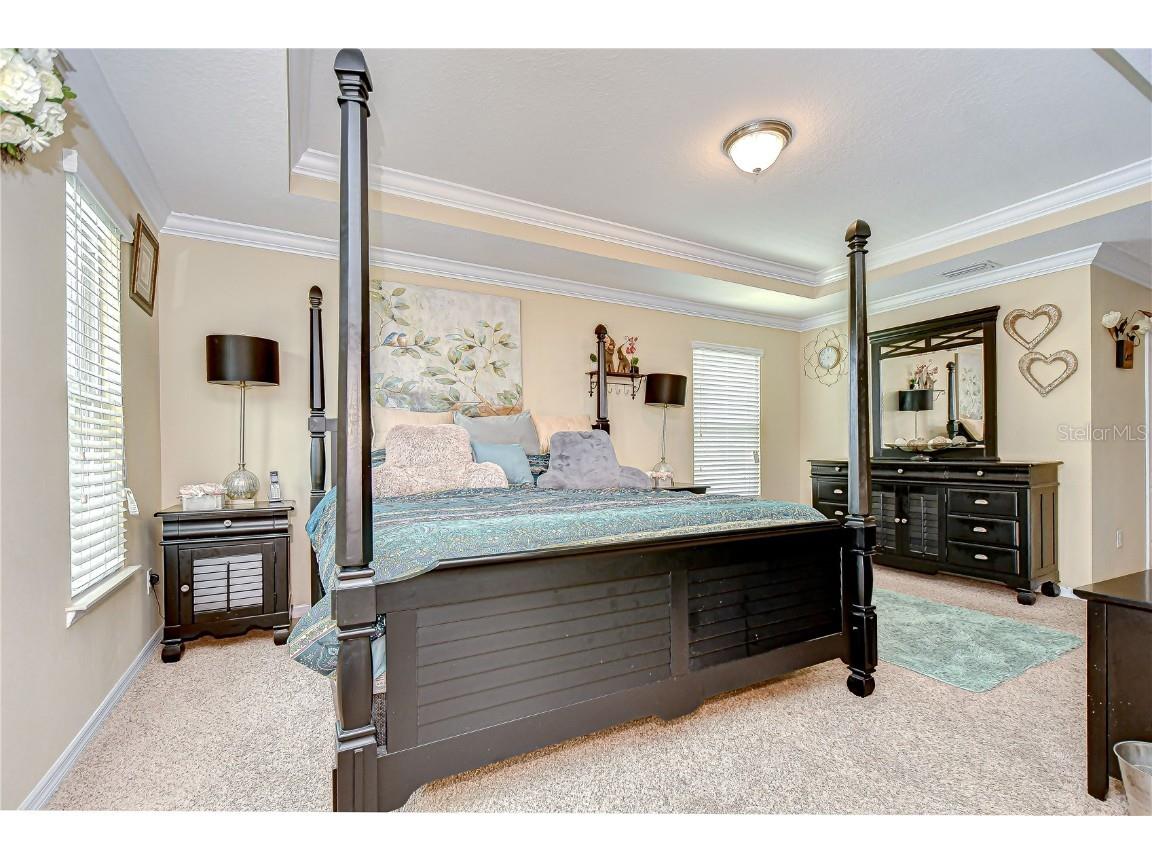 2499 Calvano Drive Land O Lakes FL 34639 TB8408915 image27