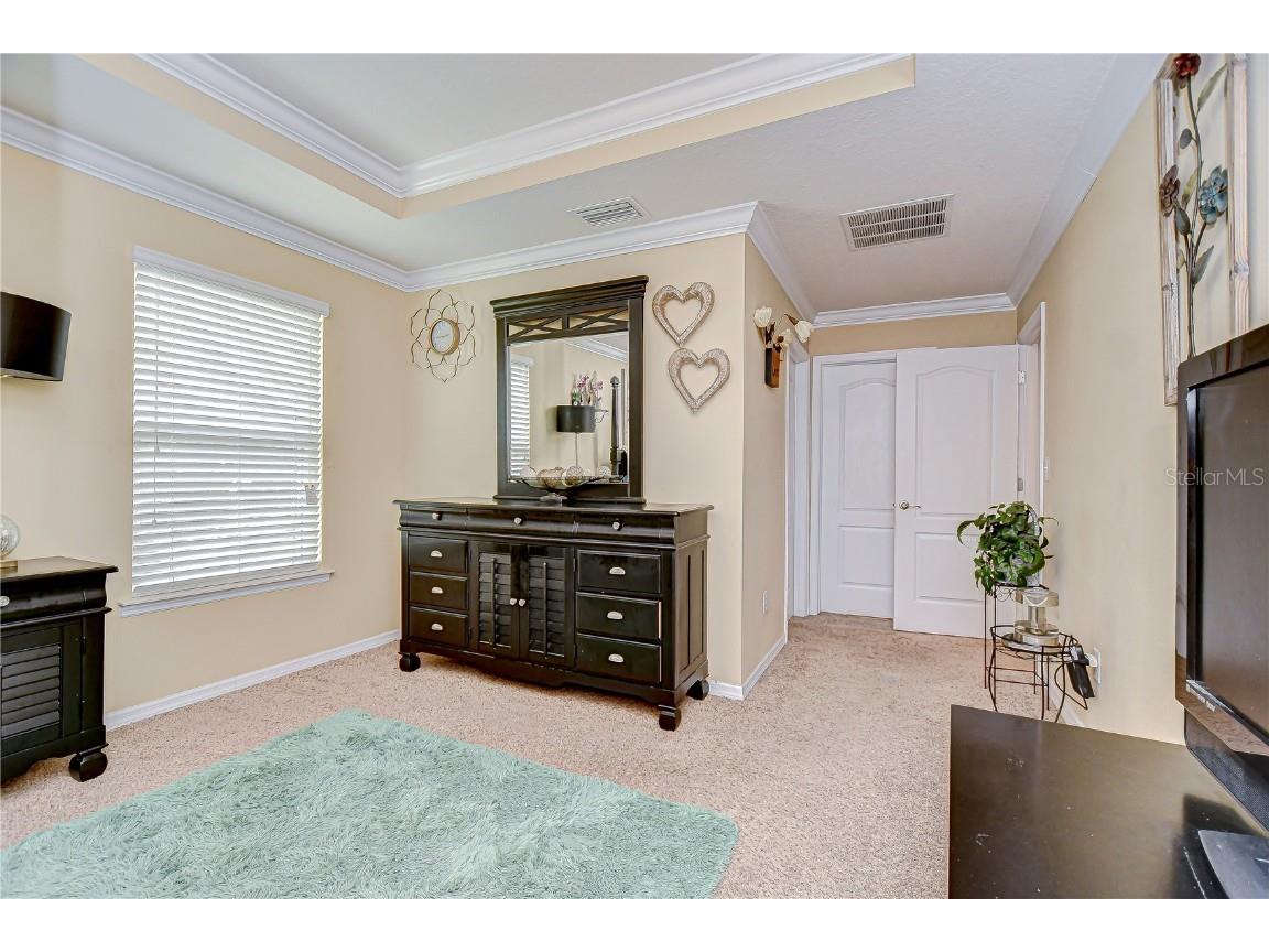 2499 Calvano Drive Land O Lakes FL 34639 TB8408915 image28