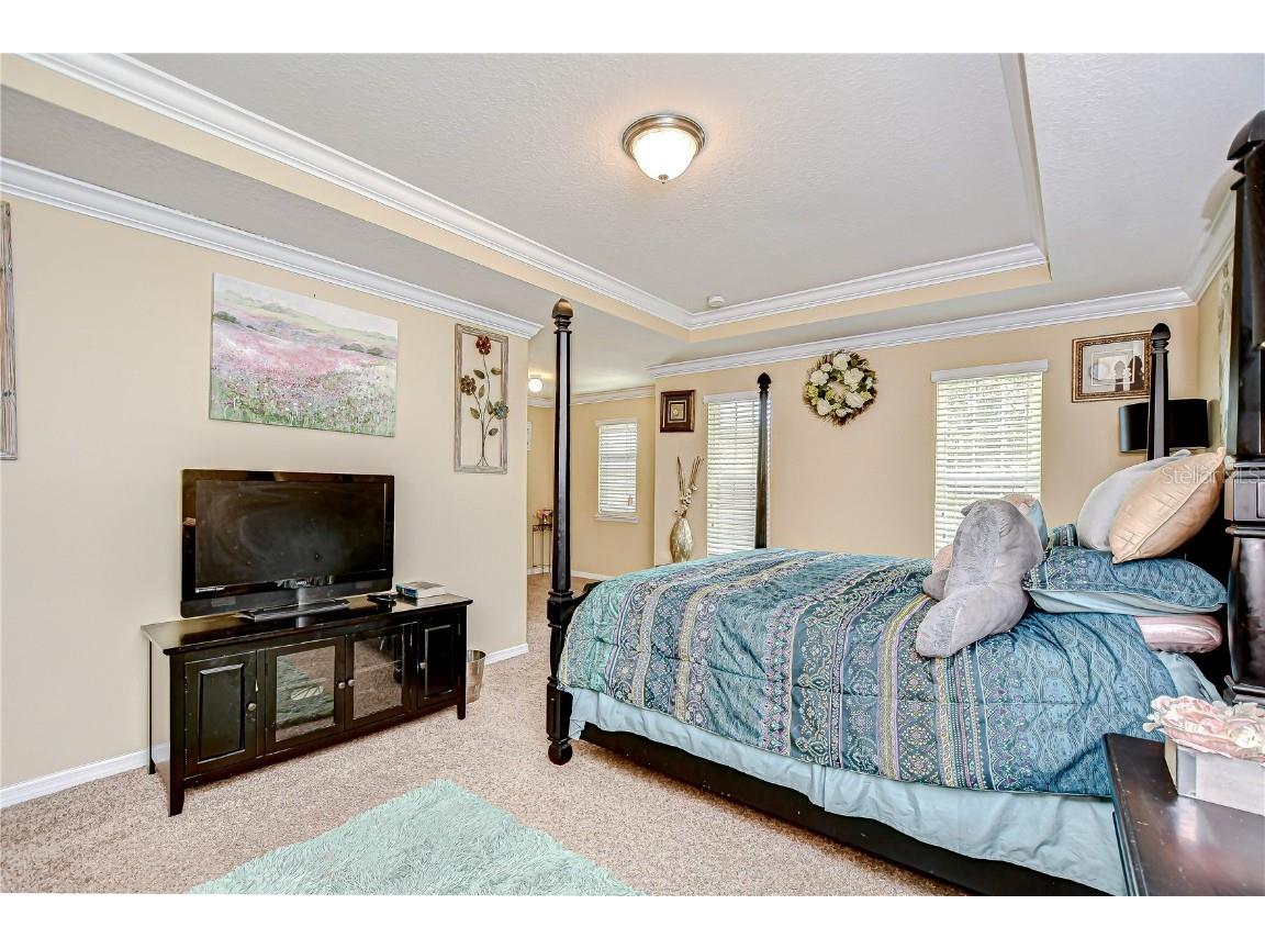 2499 Calvano Drive Land O Lakes FL 34639 TB8408915 image29