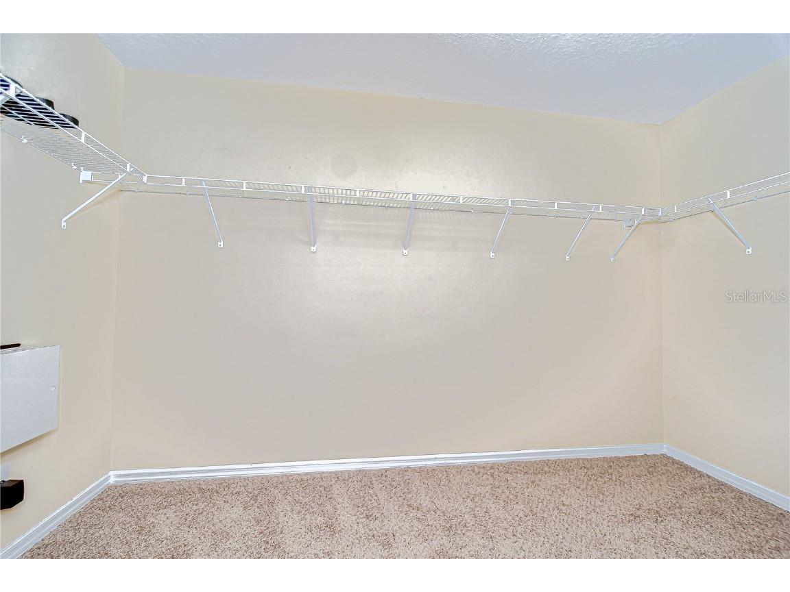 2499 Calvano Drive Land O Lakes FL 34639 TB8408915 image35