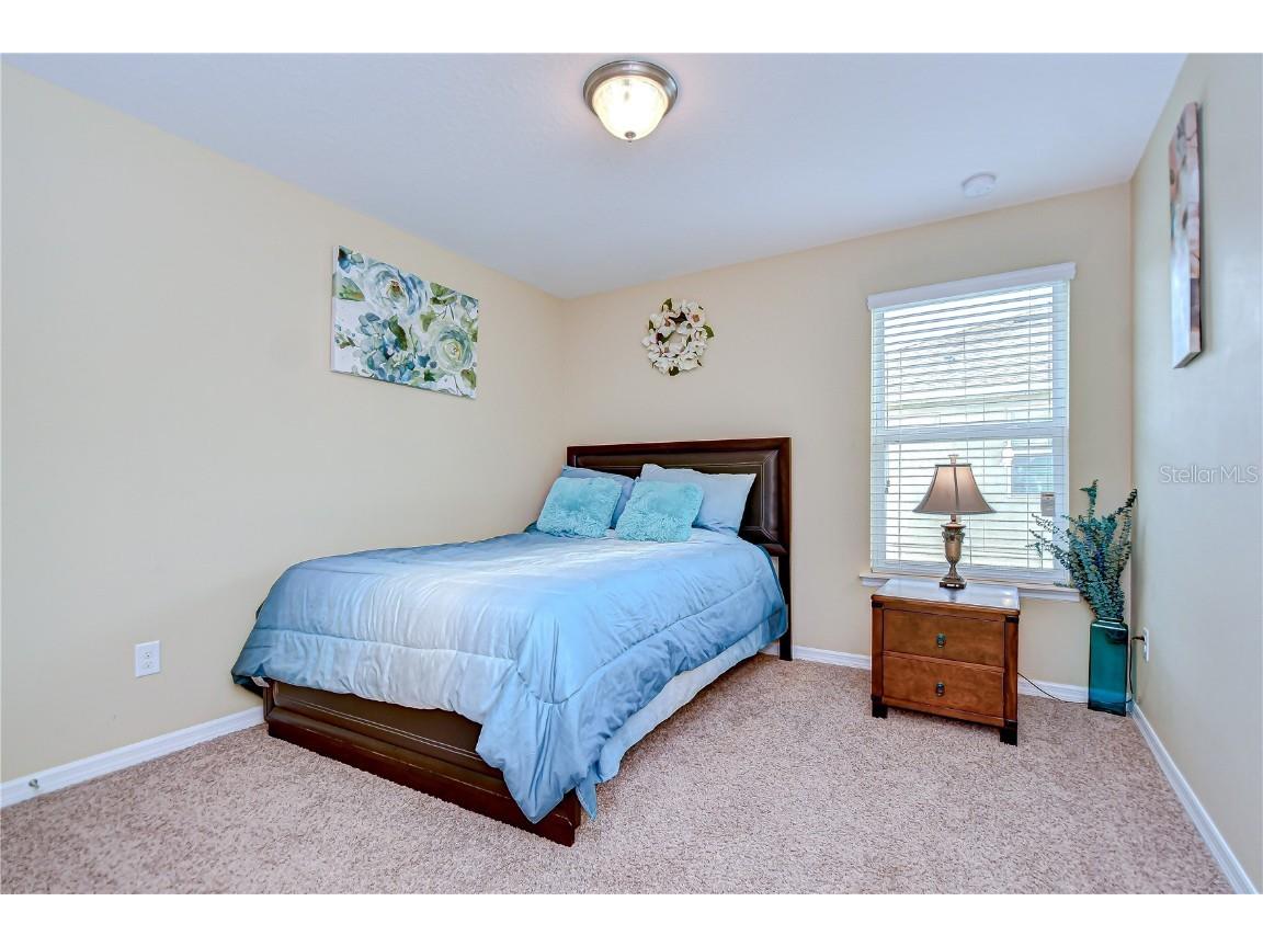 2499 Calvano Drive Land O Lakes FL 34639 TB8408915 image37