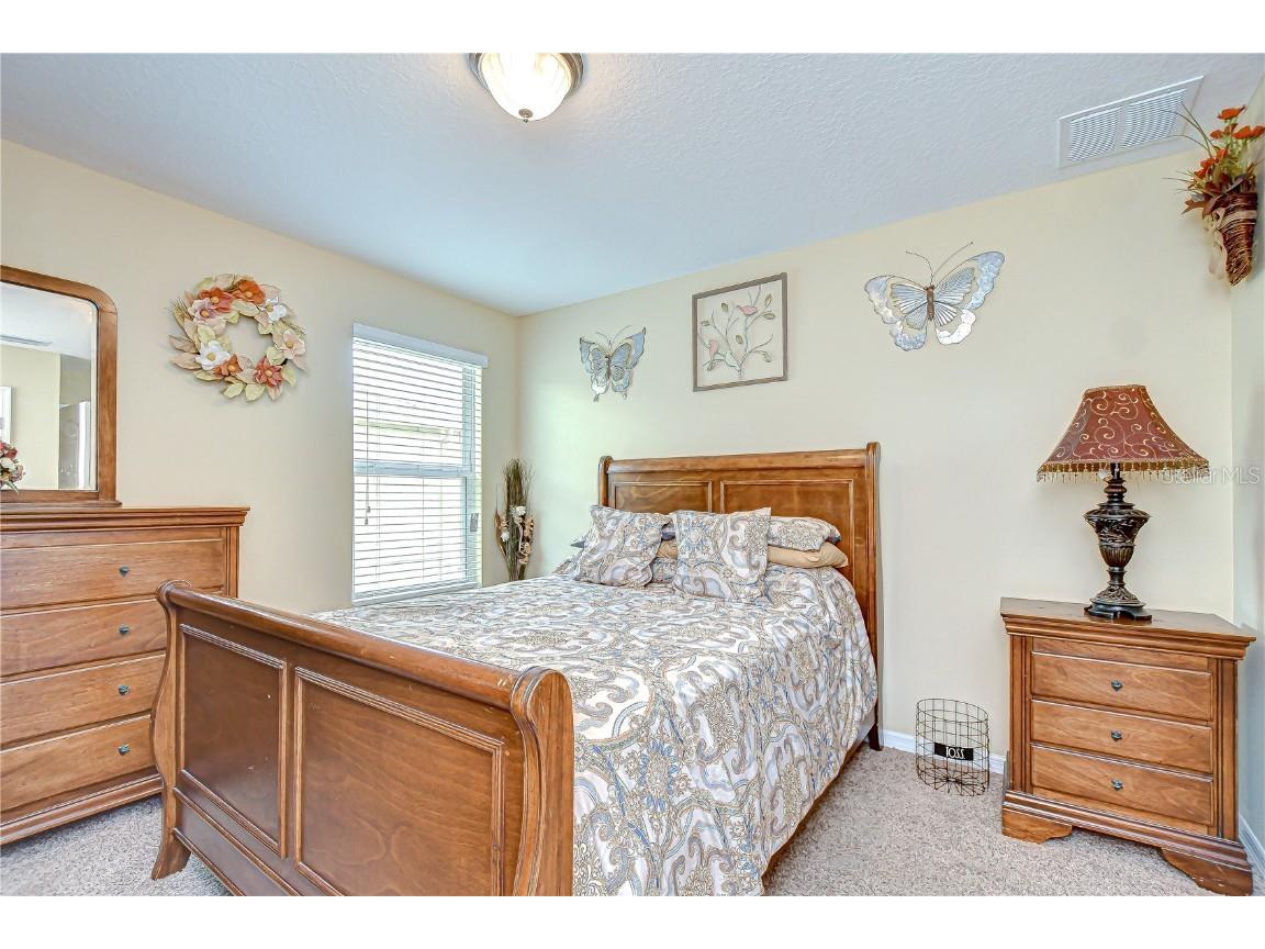 2499 Calvano Drive Land O Lakes FL 34639 TB8408915 image39