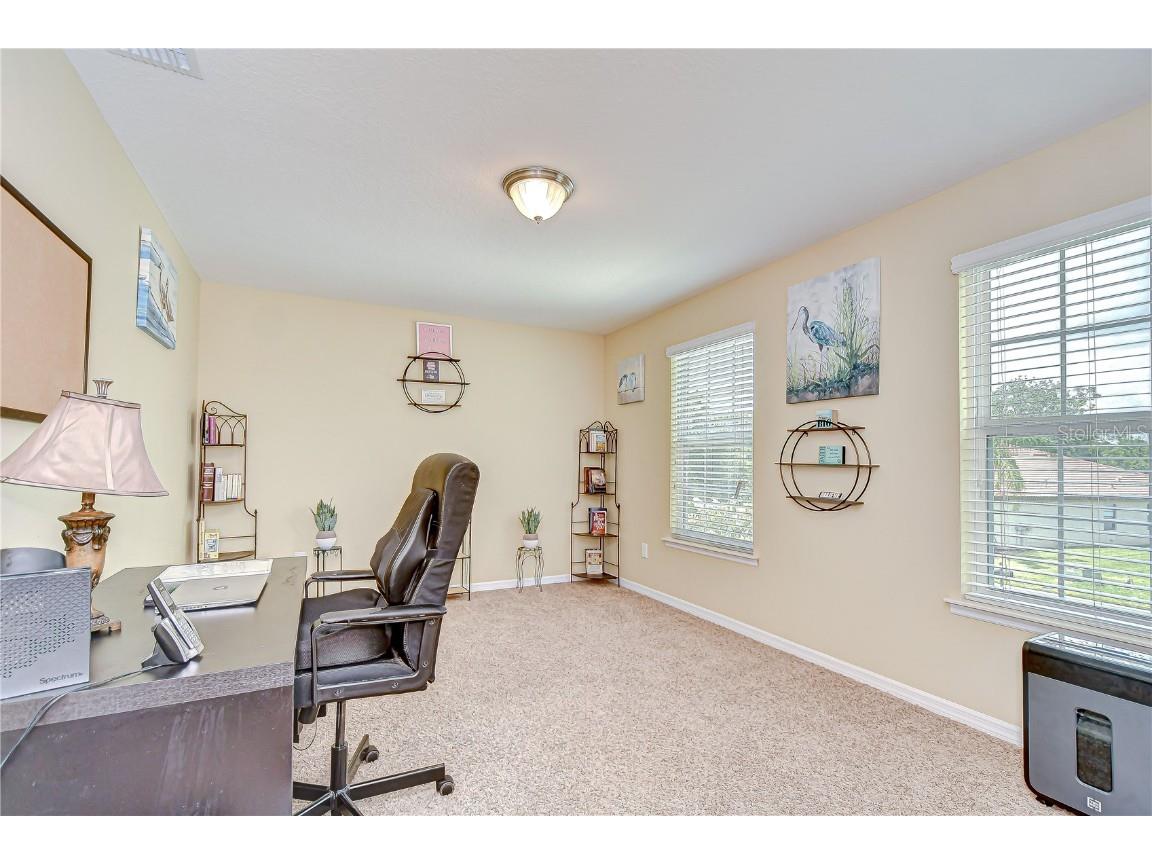 2499 Calvano Drive Land O Lakes FL 34639 TB8408915 image41