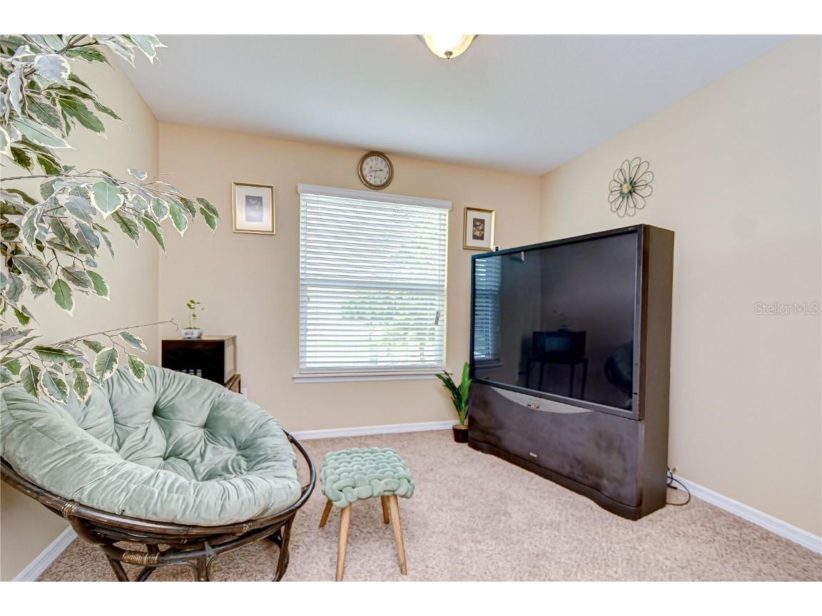 2499 Calvano Drive Land O Lakes FL 34639 TB8408915 image43