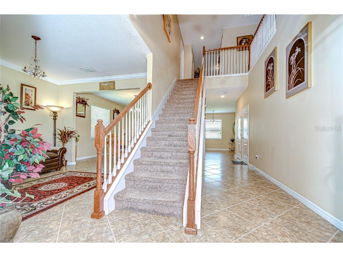 2499 Calvano Drive Land O Lakes FL 34639 TB8408915 image5