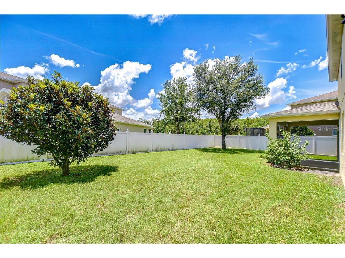 2499 Calvano Drive Land O Lakes FL 34639 TB8408915 image56