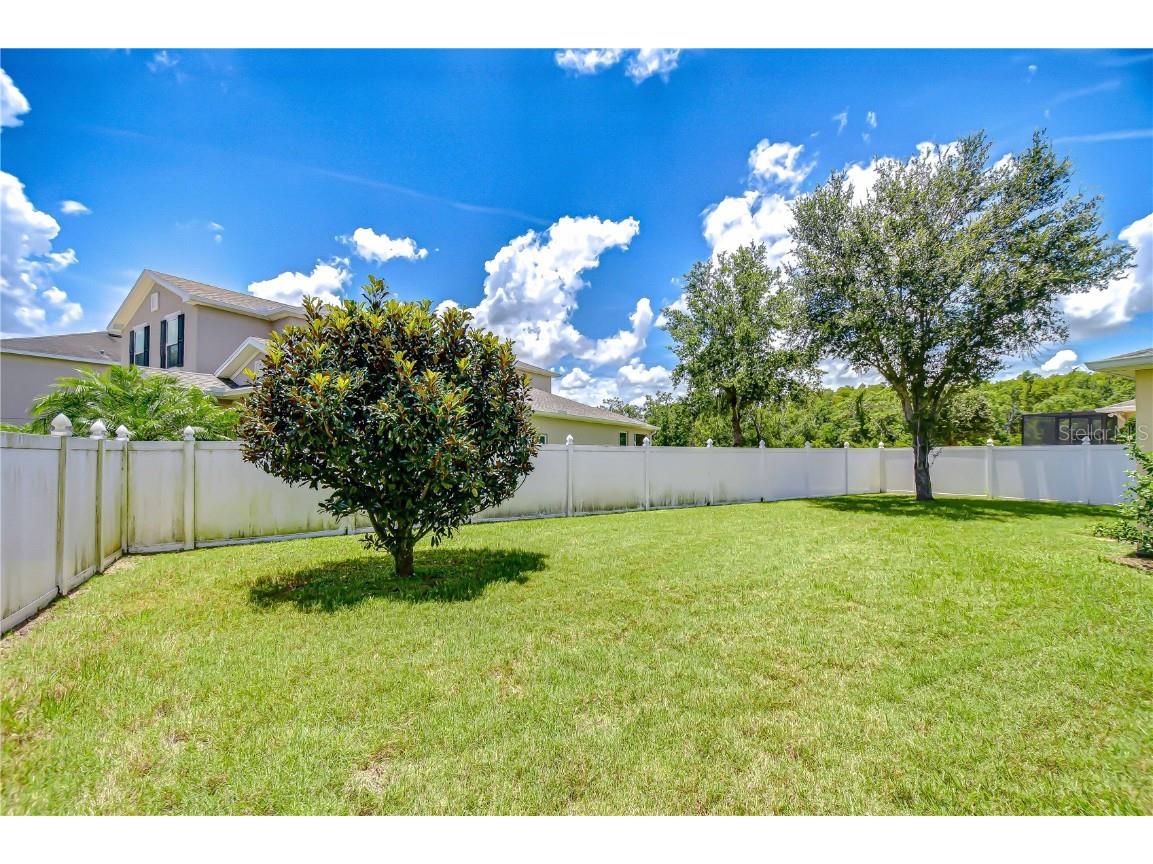 2499 Calvano Drive Land O Lakes FL 34639 TB8408915 image57