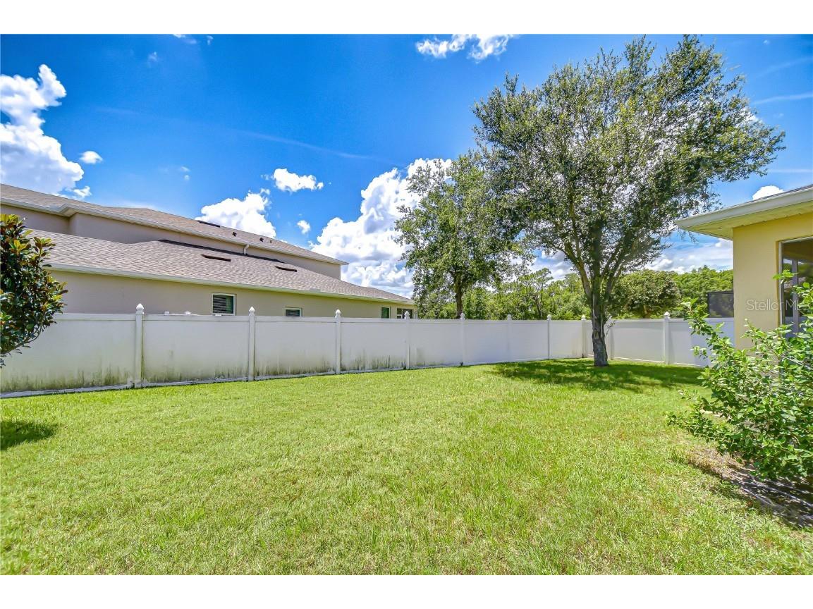 2499 Calvano Drive Land O Lakes FL 34639 TB8408915 image59
