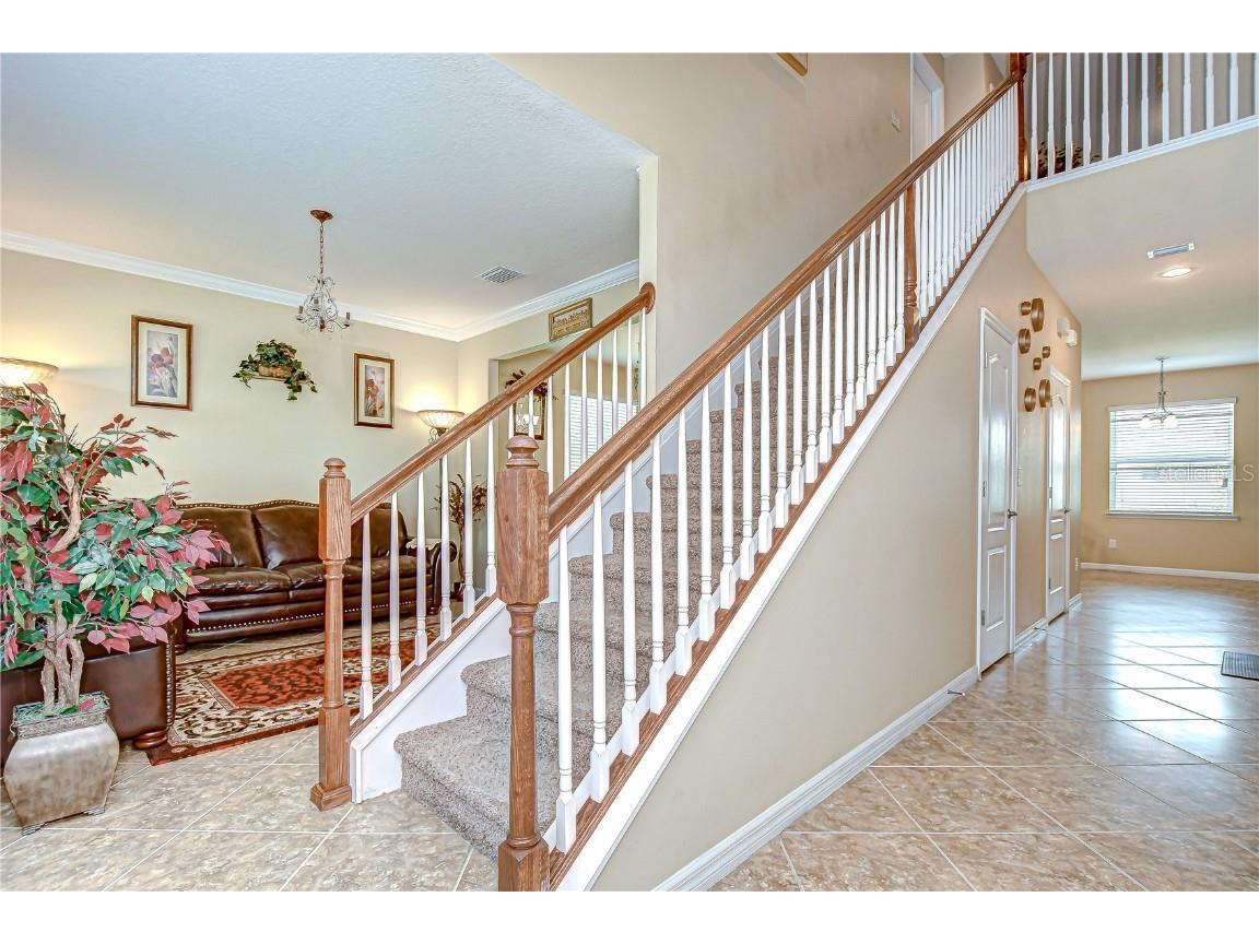 2499 Calvano Drive Land O Lakes FL 34639 TB8408915 image7