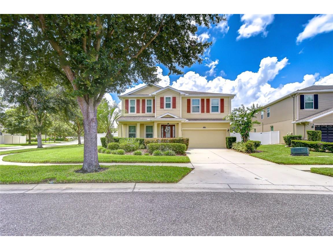 2499 Calvano Drive Land O Lakes FL 34639 TB8408915 image70