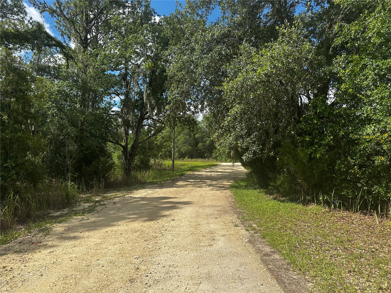 2499 SW 143rd Court Ocala FL 34481 OM726462 image3