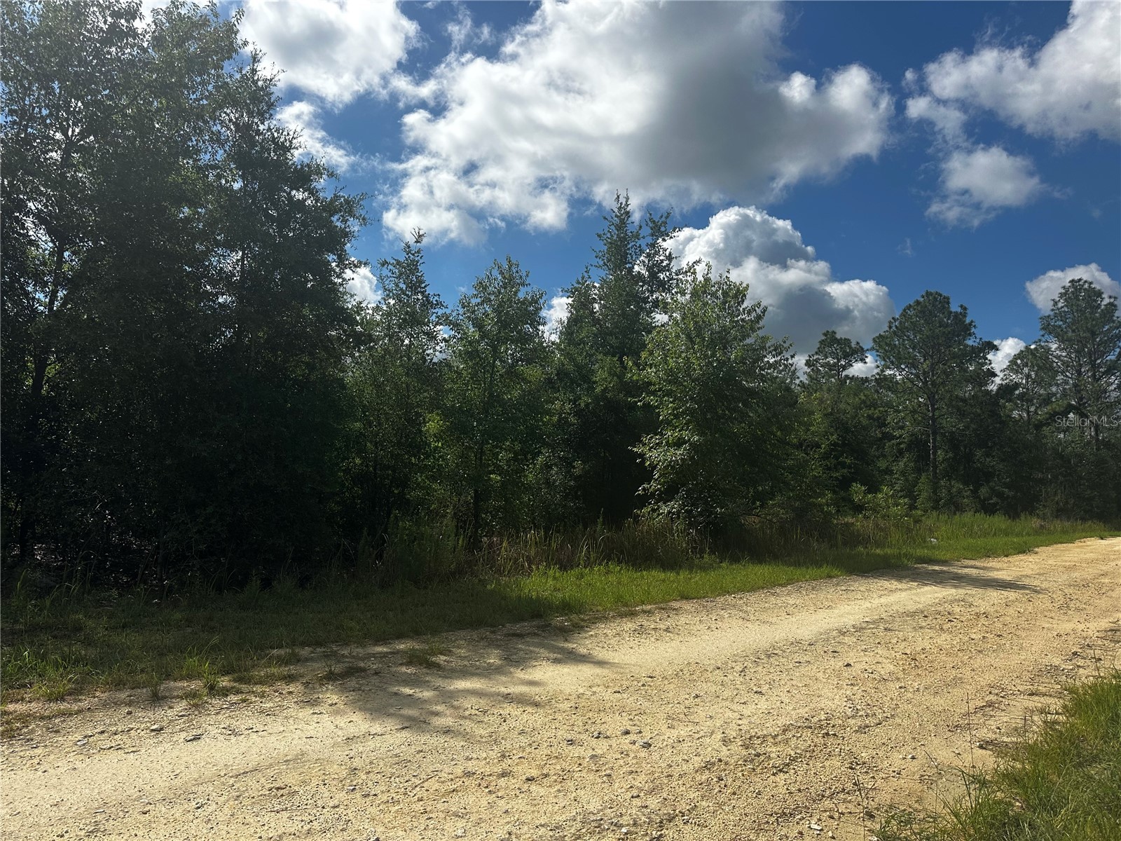 2499 SW 143rd Court Ocala FL 34481 OM726462 image5