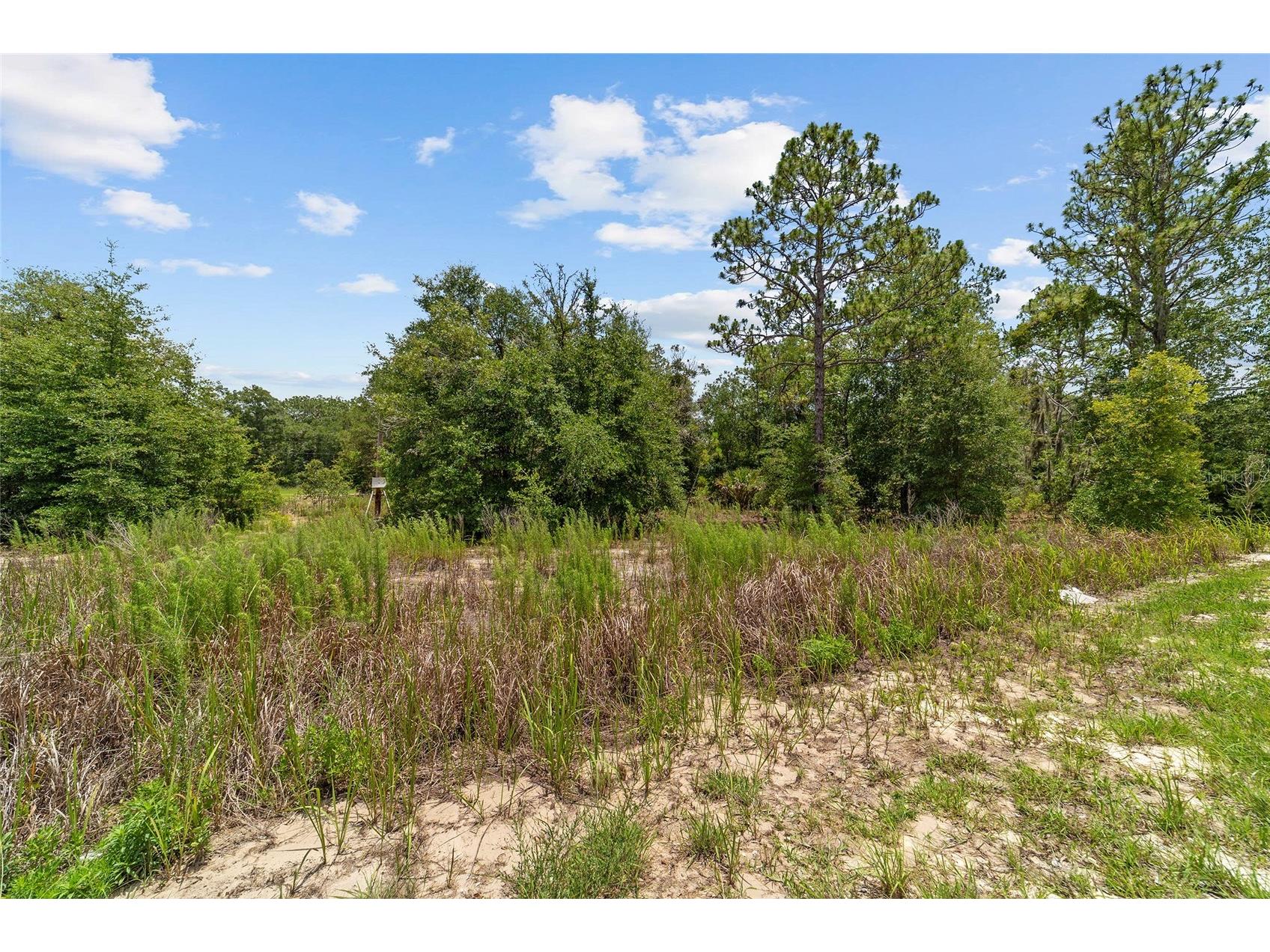2499 SW 143rd Court Ocala FL 34481 OM726462 image9