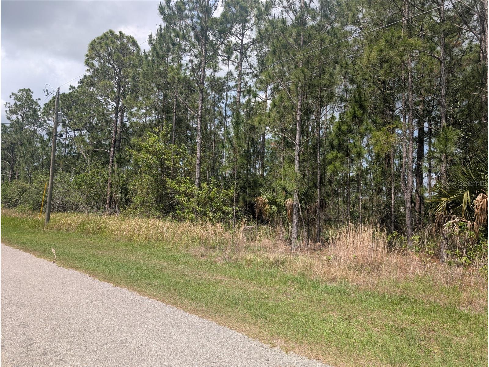 25 Amaryllis Drive Indian Lake Estates FL 33855 - LAKE WALK-IN-WATER P4938804 image10