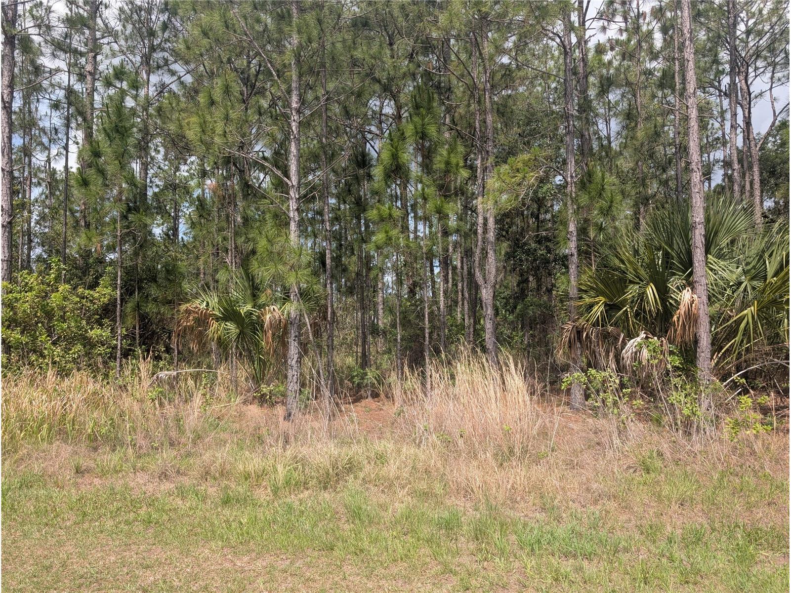25 Amaryllis Drive Indian Lake Estates FL 33855 - LAKE WALK-IN-WATER P4938804 image12
