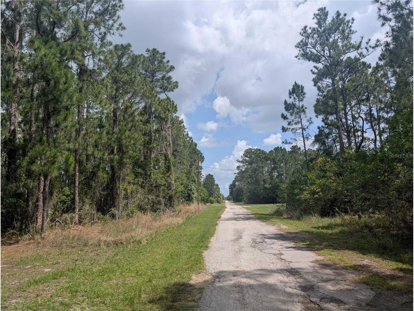 25 Amaryllis Drive Indian Lake Estates FL 33855 - LAKE WALK-IN-WATER P4938804 image13