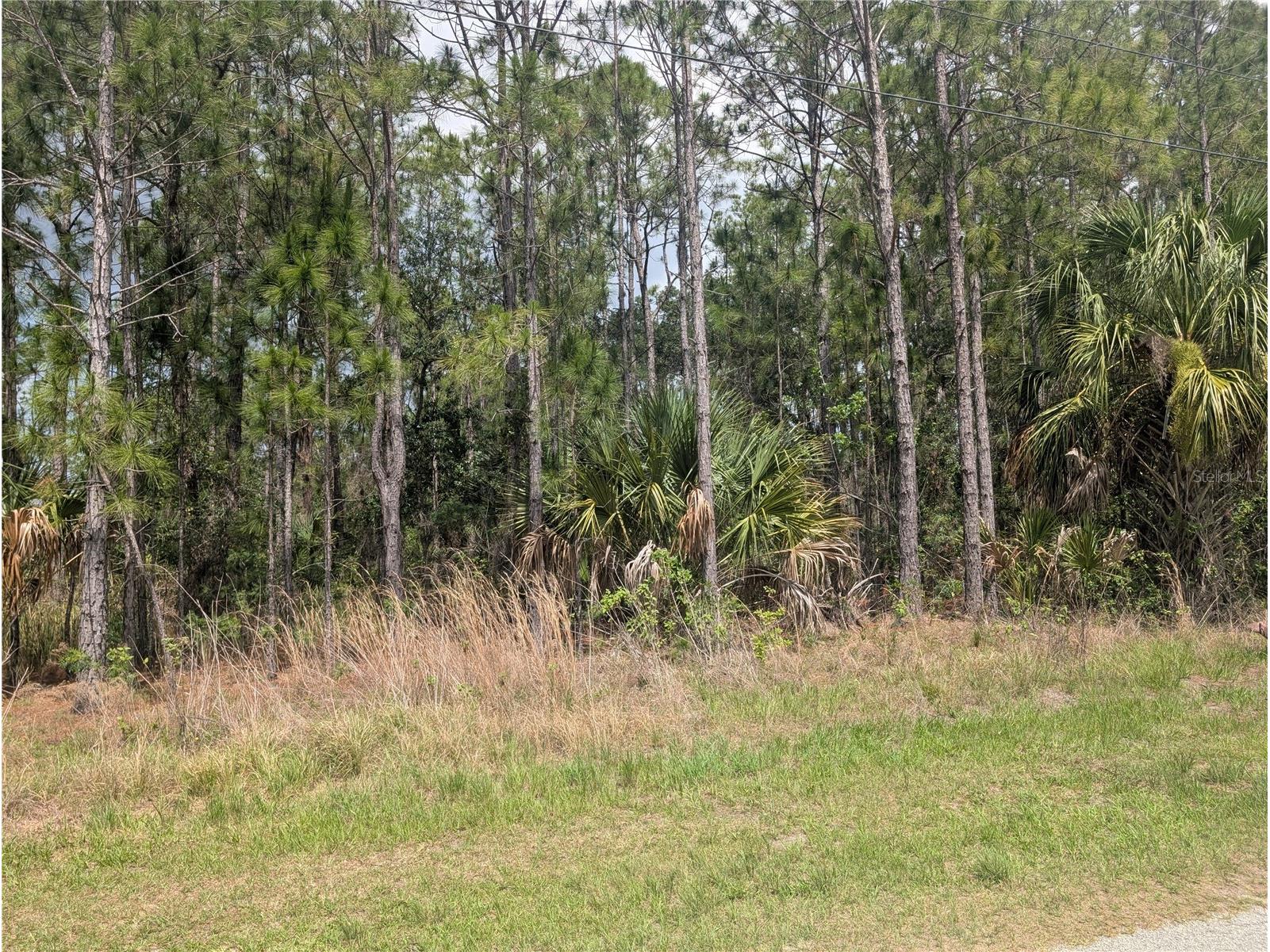 25 Amaryllis Drive Indian Lake Estates FL 33855 - LAKE WALK-IN-WATER P4938804 image5