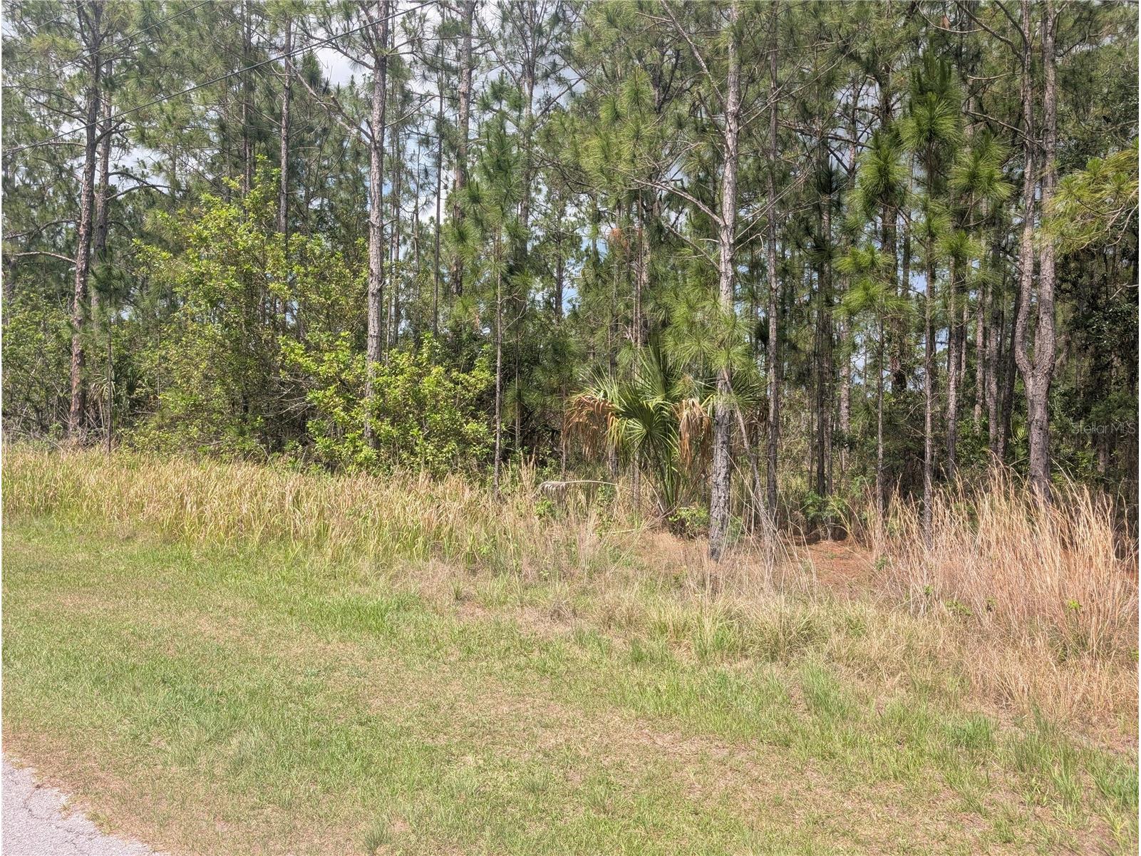 25 Amaryllis Drive Indian Lake Estates FL 33855 - LAKE WALK-IN-WATER P4938804 image9