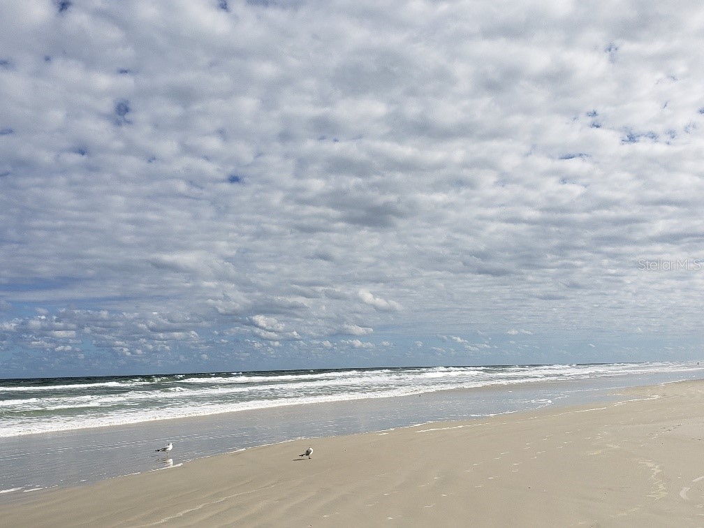 25 Andrea Drive New Smyrna Beach FL 32168 NS1088381 image57