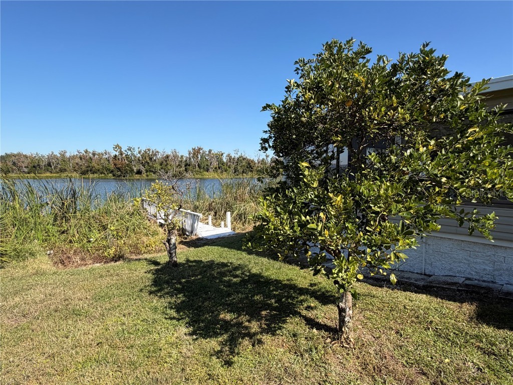 25 Captains Point Fruitland Park FL 34731 - LAKE GRIFFIN G5095299 image10