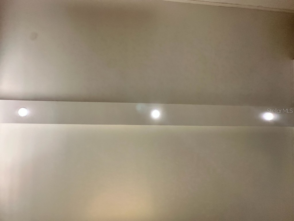 25 Captains Point Fruitland Park FL 34731 - LAKE GRIFFIN G5095299 image26