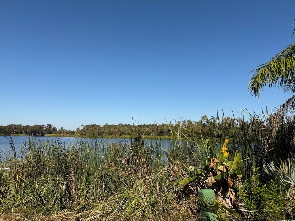 25 Captains Point Fruitland Park FL 34731 - LAKE GRIFFIN G5095299 image9