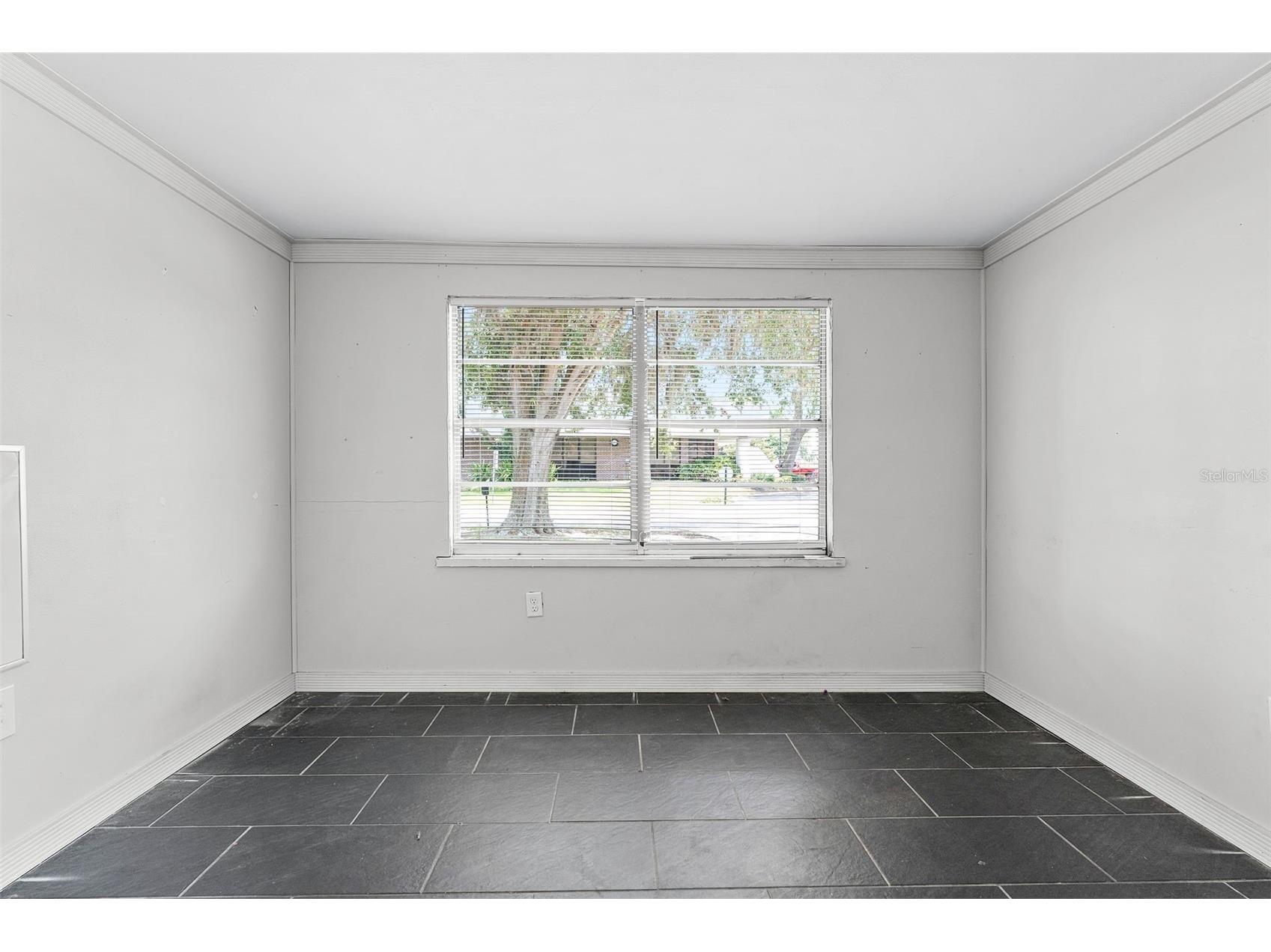 25 E Pinecrest Avenue Eustis FL 32726 O6387464 image16