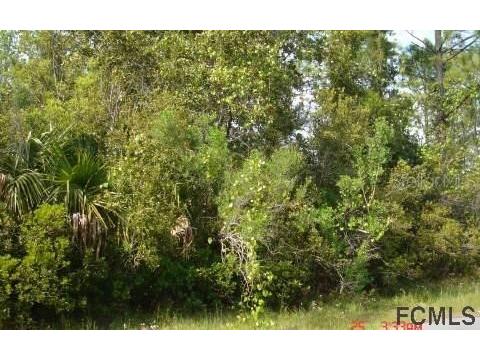 25 Eastmoor Lane Palm Coast FL 32164 FC293315 image1
