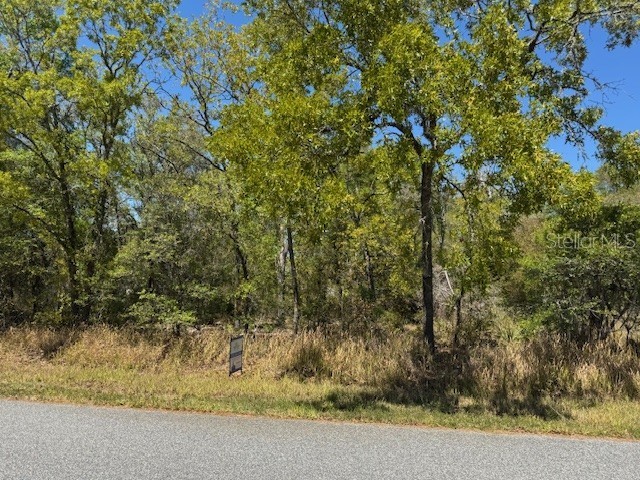 25 Elm Loop Ocala FL 34472 OM697815 image1