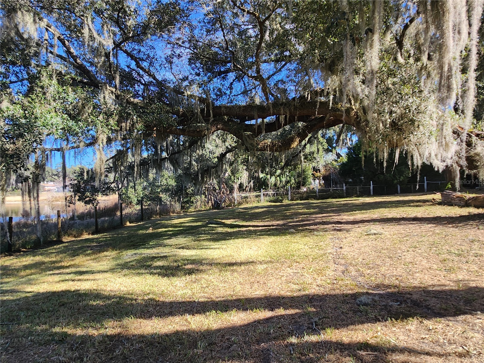 25 Emerald Drive Ocala FL 34472 OM717307 image57