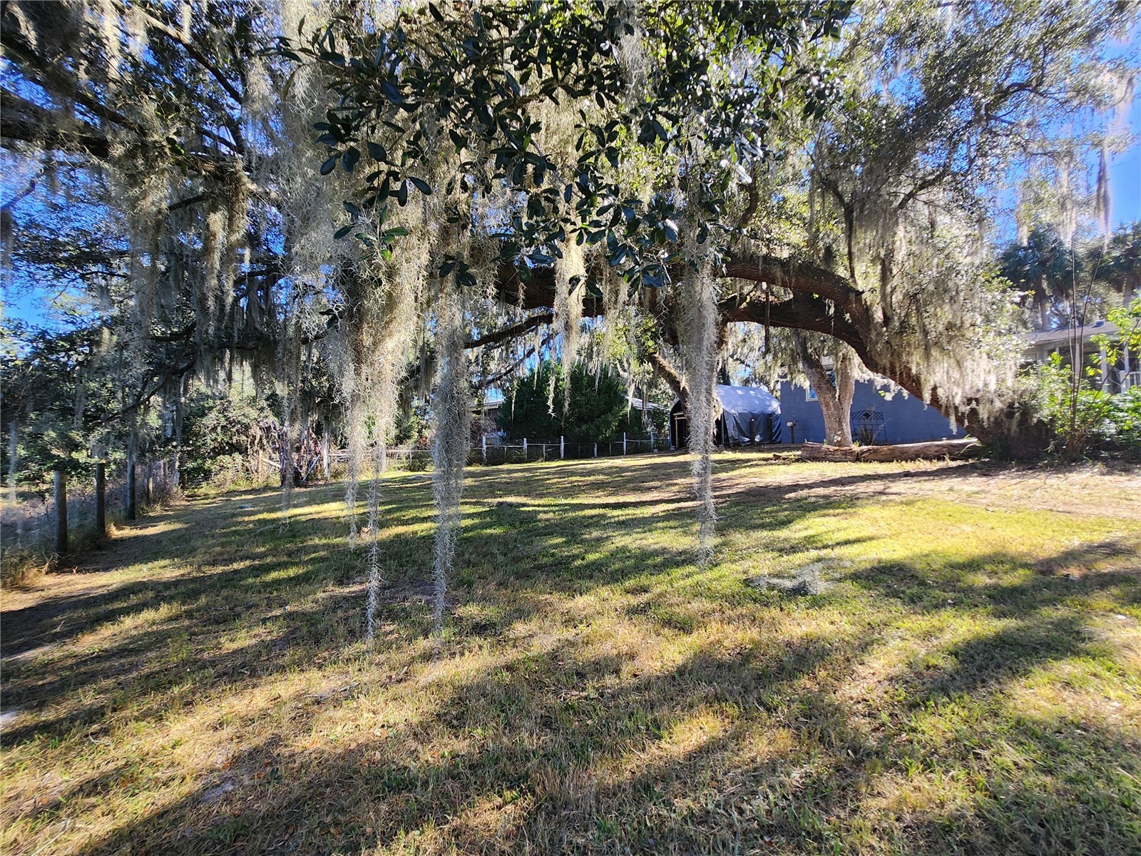 25 Emerald Drive Ocala FL 34472 OM717307 image58