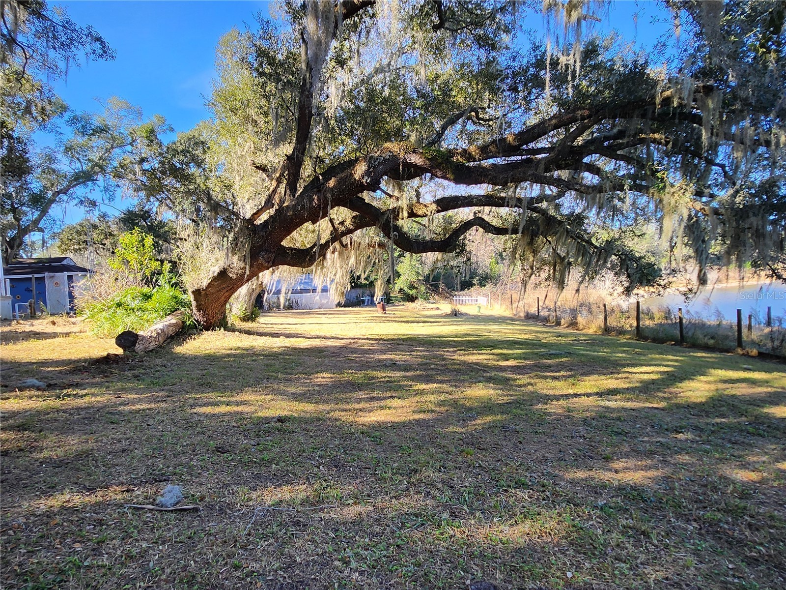 25 Emerald Drive Ocala FL 34472 OM717307 image66