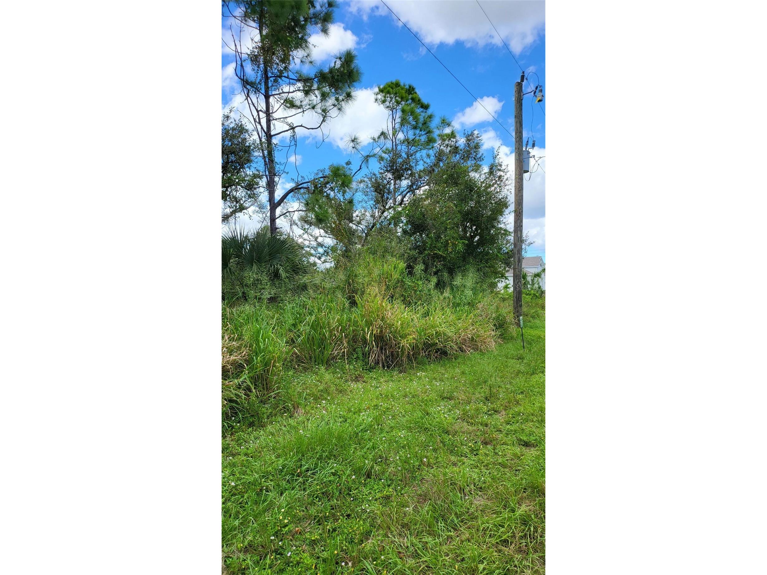 25 Evaro Drive Port Charlotte FL 33954 D6132866 image1