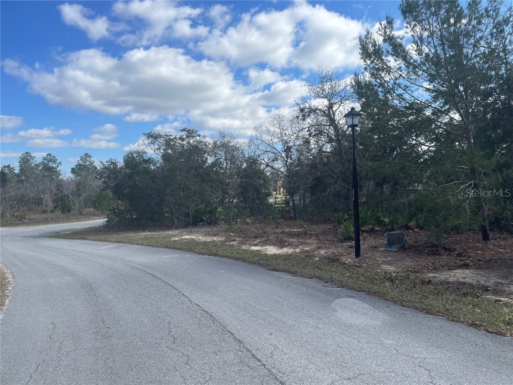 25 Freesia Court Homosassa FL 34446 OM695832 image1