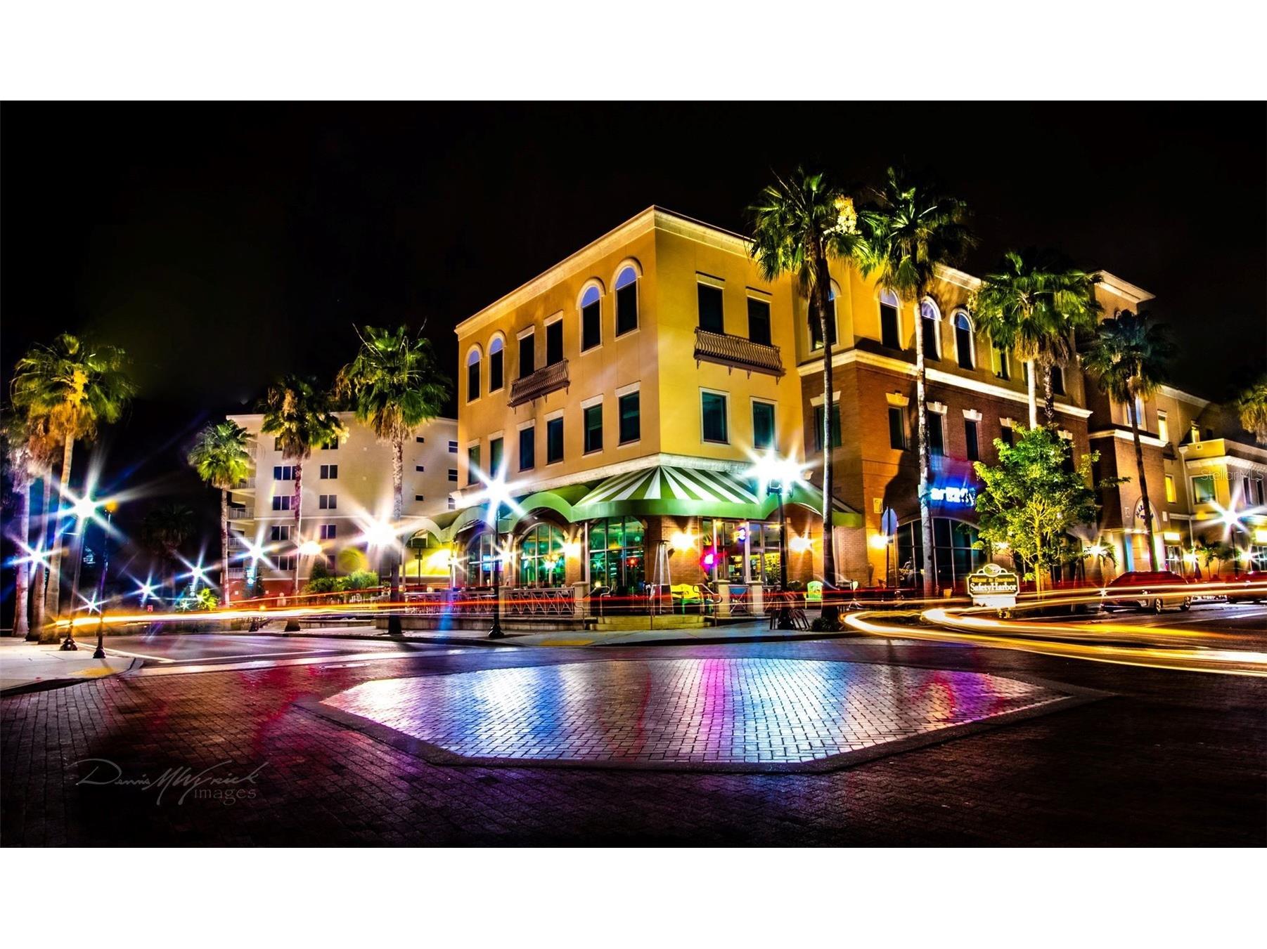 25 Harbor Woods Circle Safety Harbor FL 34695 TB8496813 image45