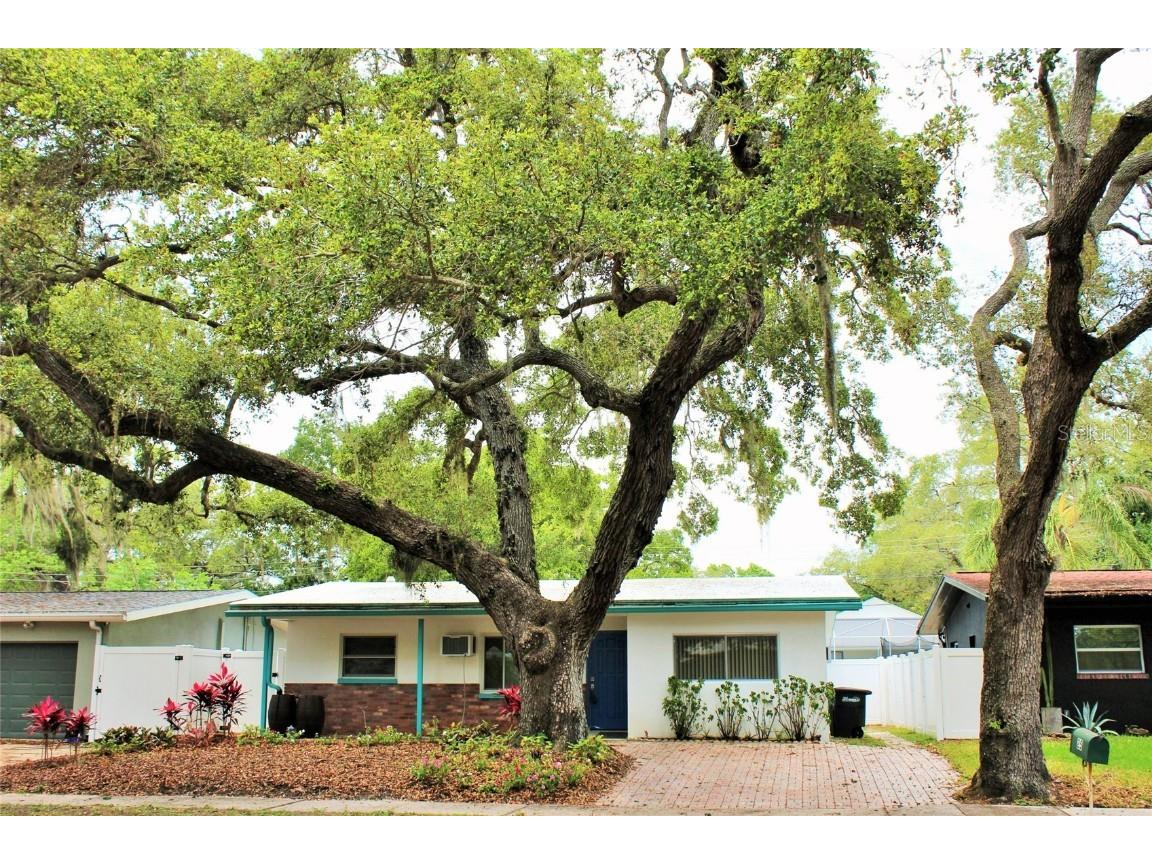 25 Joyce Street Safety Harbor FL 34695 U8198991 image1