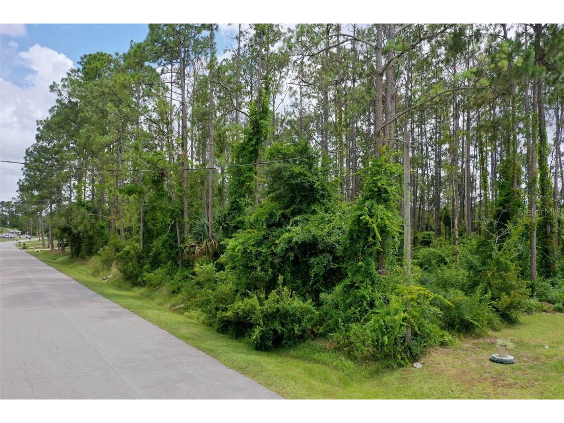 25 Karat Path Palm Coast FL 32164 FC301749 image1