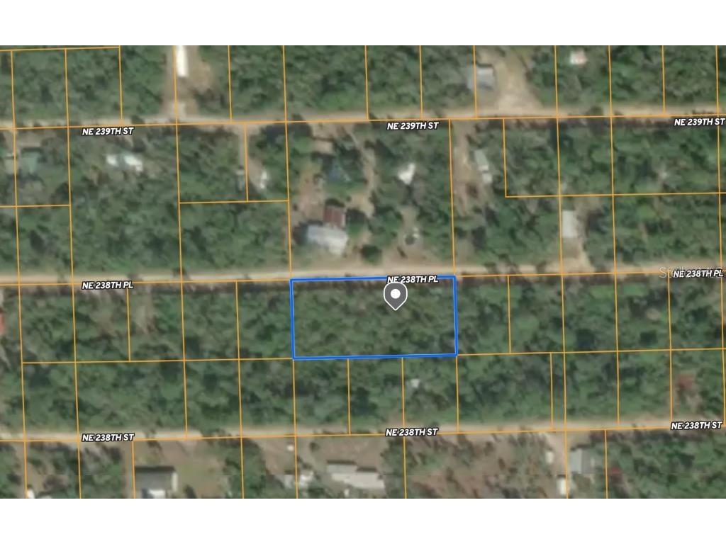 25 NE 238th Place Fort Mc Coy FL 32134 W7876500 image1