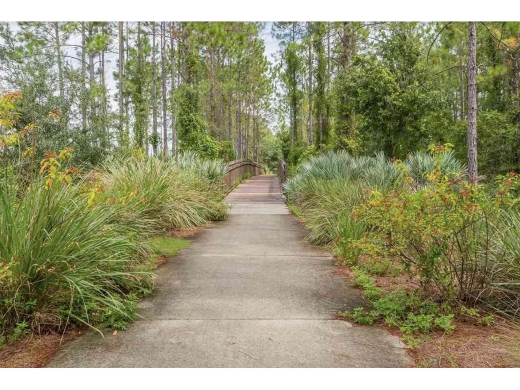 25 Rivertown Road Palm Coast FL 32137 FC316482 image17