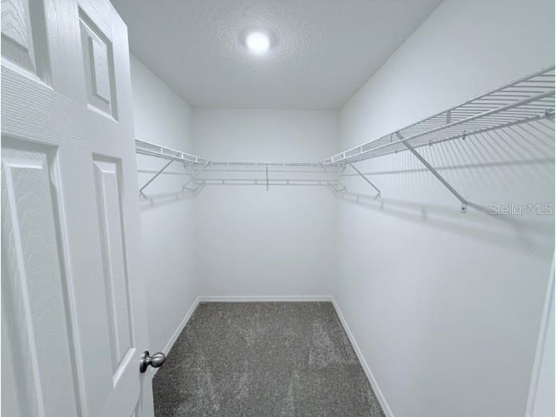 25 Round Thorn Drive Palm Coast FL 32164 C7507878 image11