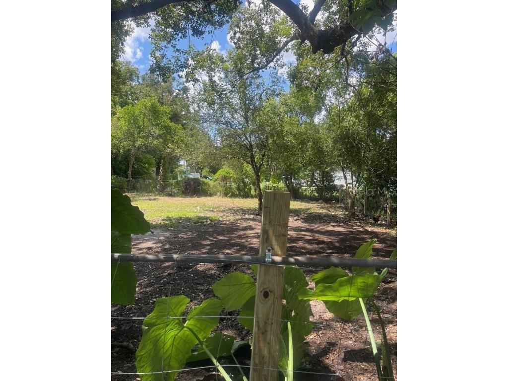 25 S Mckinley Avenue Orlando FL 32811 O6333000 image4