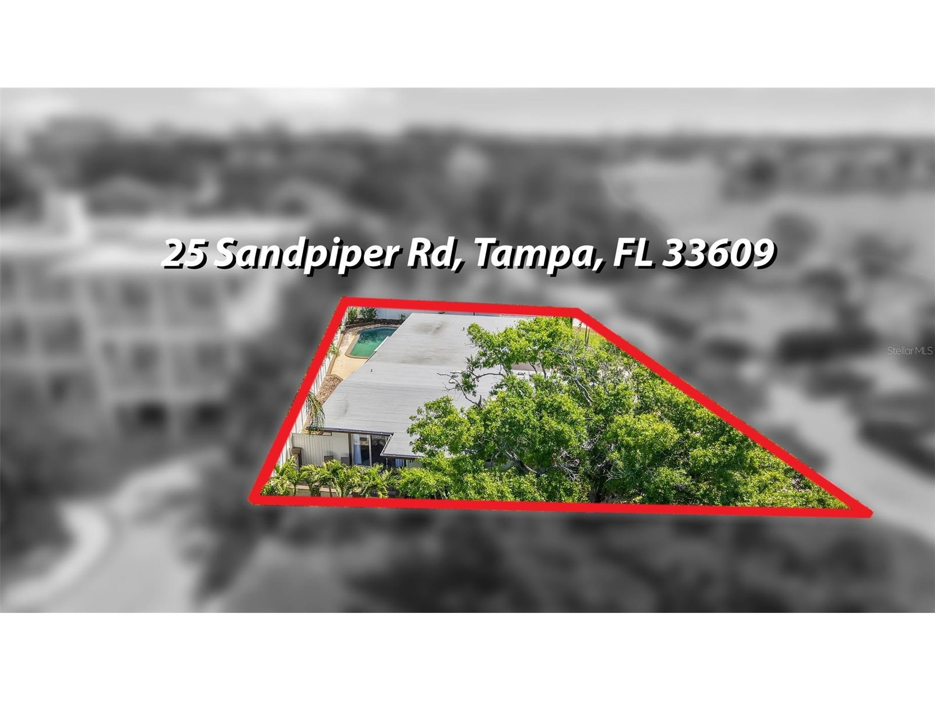 25 Sandpiper Road Tampa FL 33609 TB8497803 image80
