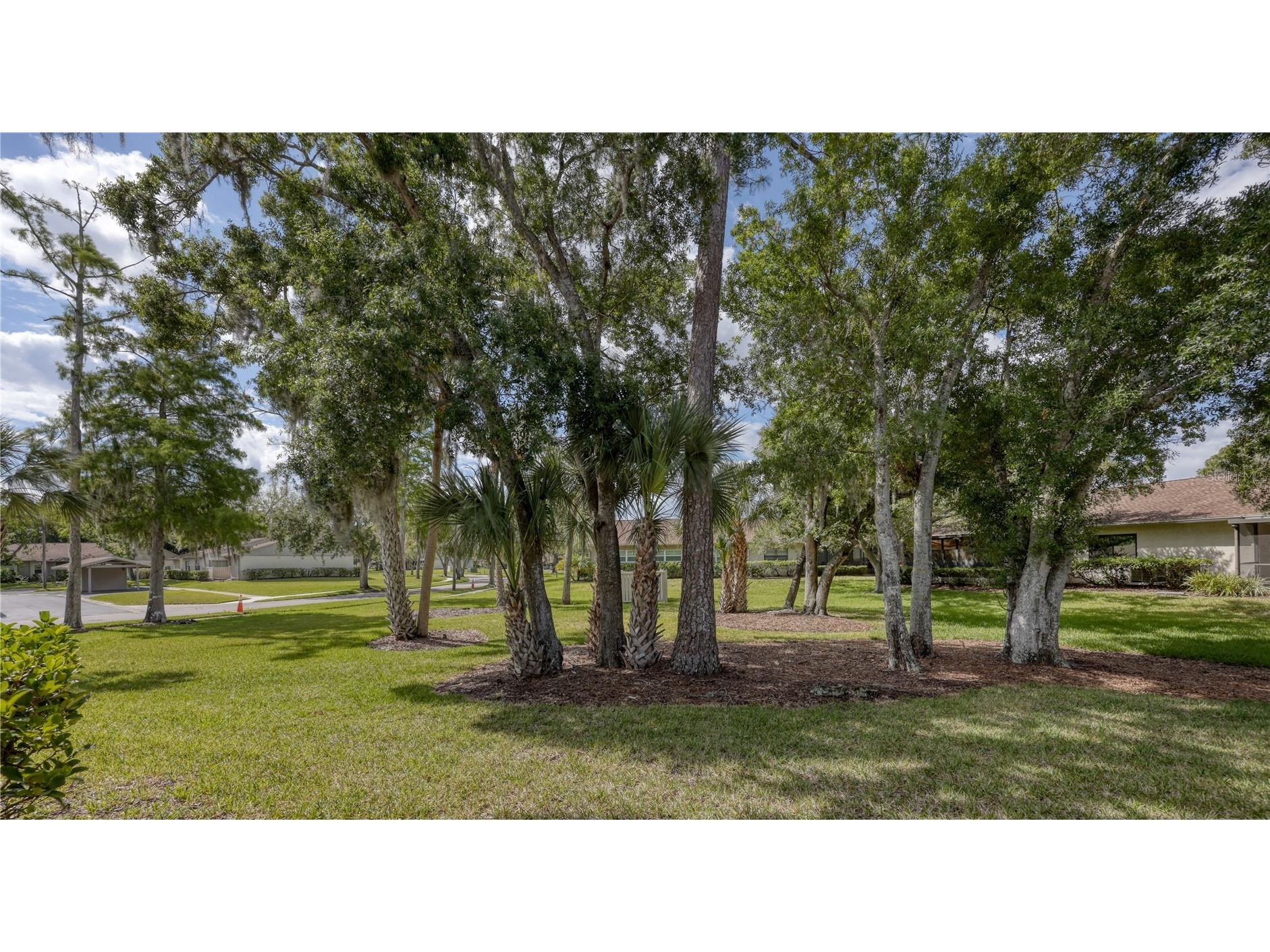 25 Tads Trail Oldsmar FL 34677 TB8509080 image30