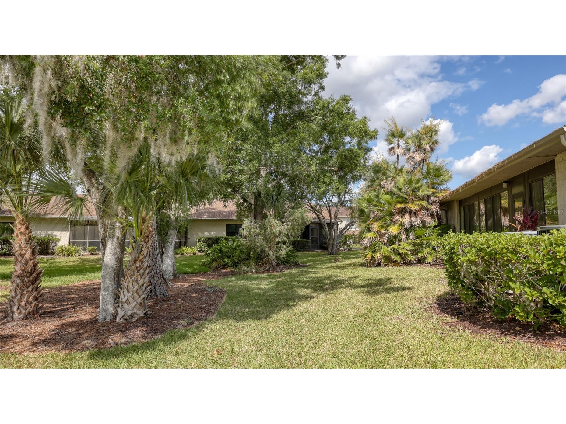 25 Tads Trail Oldsmar FL 34677 TB8509080 image31