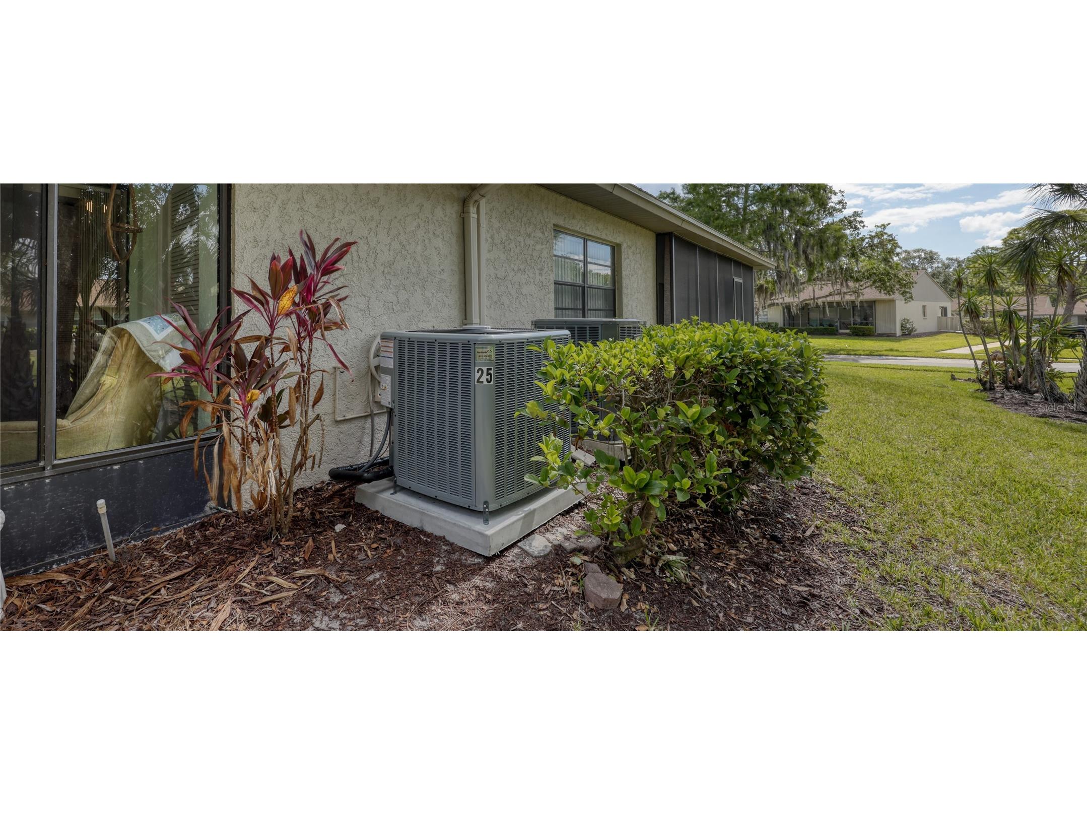 25 Tads Trail Oldsmar FL 34677 TB8509080 image41